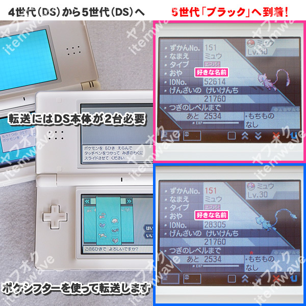 ポケモンブラック ミュウ&色違いミュウ 正規エメラルド産 ふるびたかいず ポケモンバンク HOME 剣盾 スカーレットバイオレット 3DS GBA_画像7