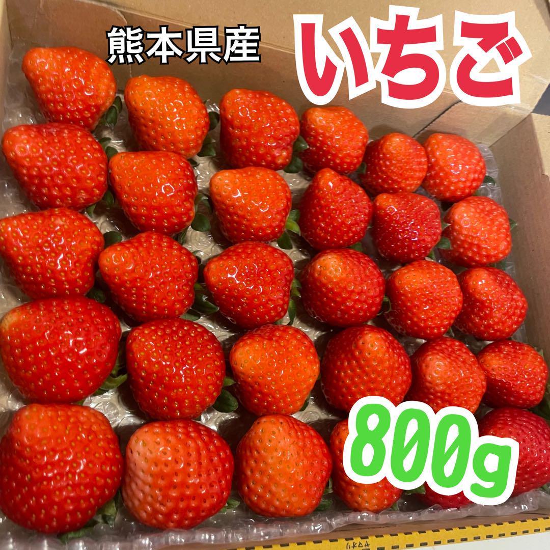 ic22 熊本県産　いちご　苺　イチゴ　箱込800g 旬のフルーツ_画像1