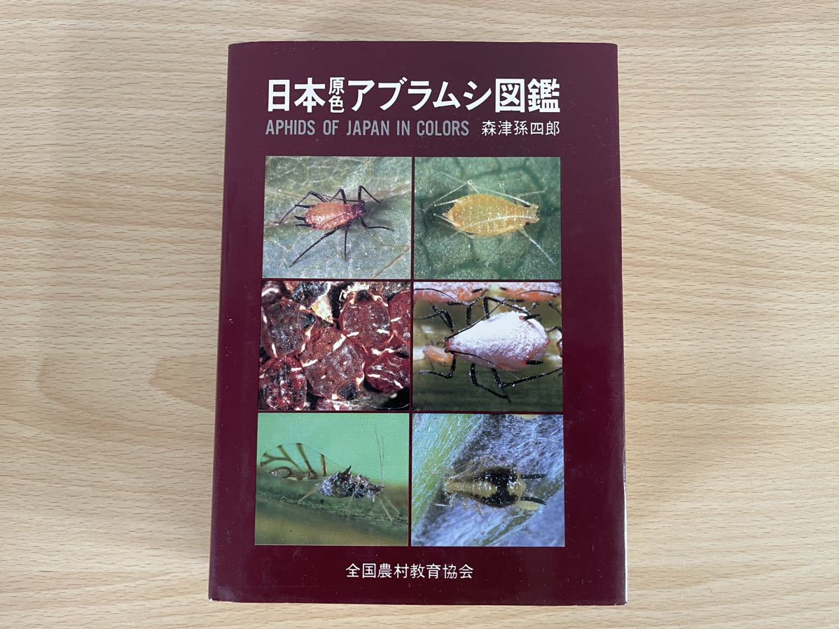 昆虫、蝶、甲虫、鉱物 鳥類 動物 植物 蛾 北九州 「わたしたちの 昆虫、蝶、甲虫、鉱物 鳥類 動物 植物 蛾 北九州 「わたしたちの