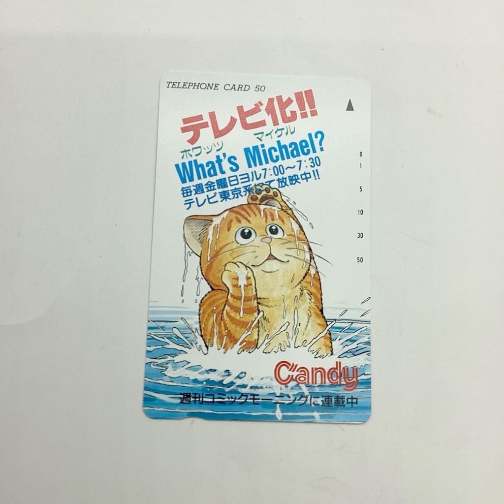 【22003-1】 テレホンカード　テレカ What’s Michale? 　ホワッツ マイケル？　50度数　3枚セット　未使用　 二次流通品 美品_画像3