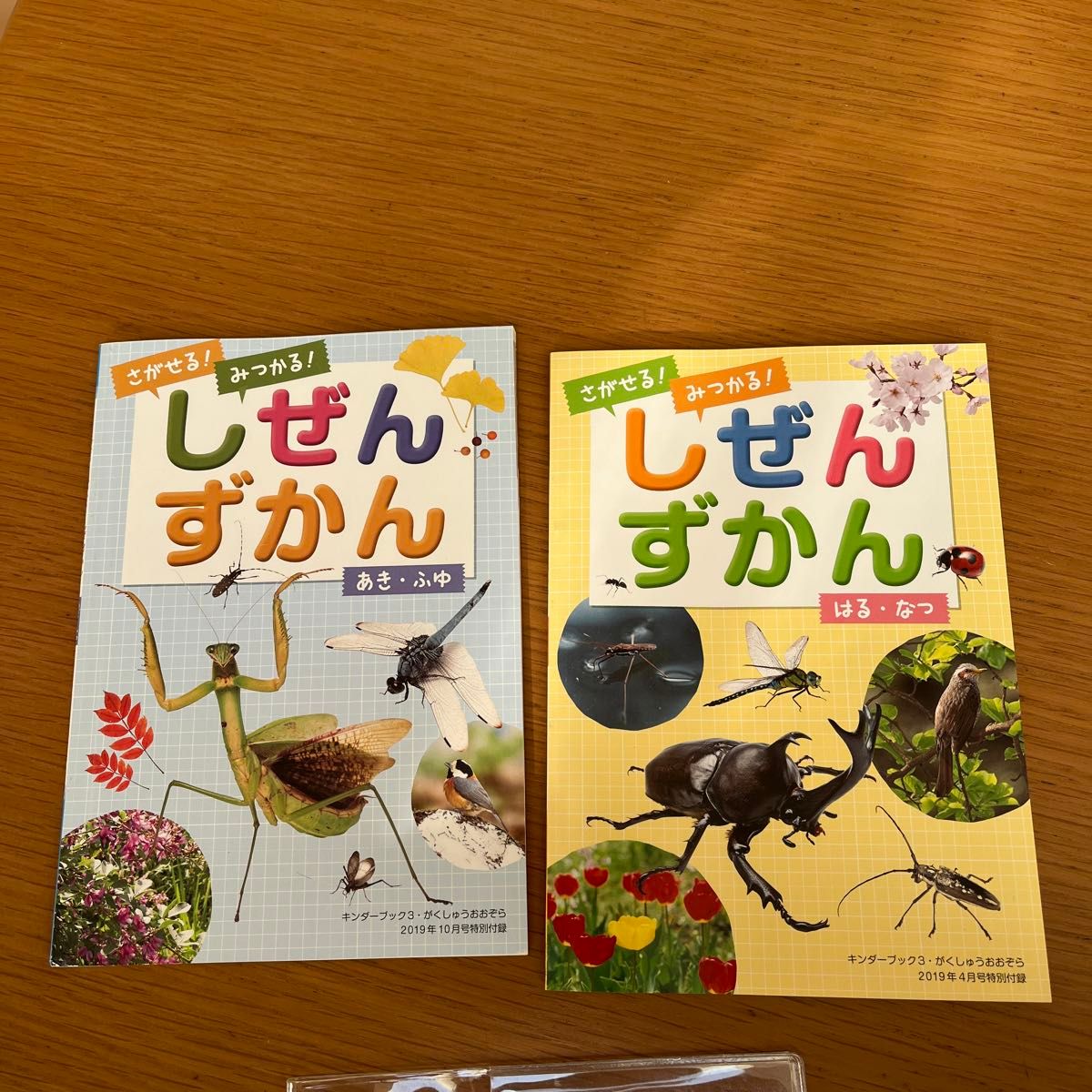 しぜんずかん　はる　なつ　あき　ふゆ　カバー付き