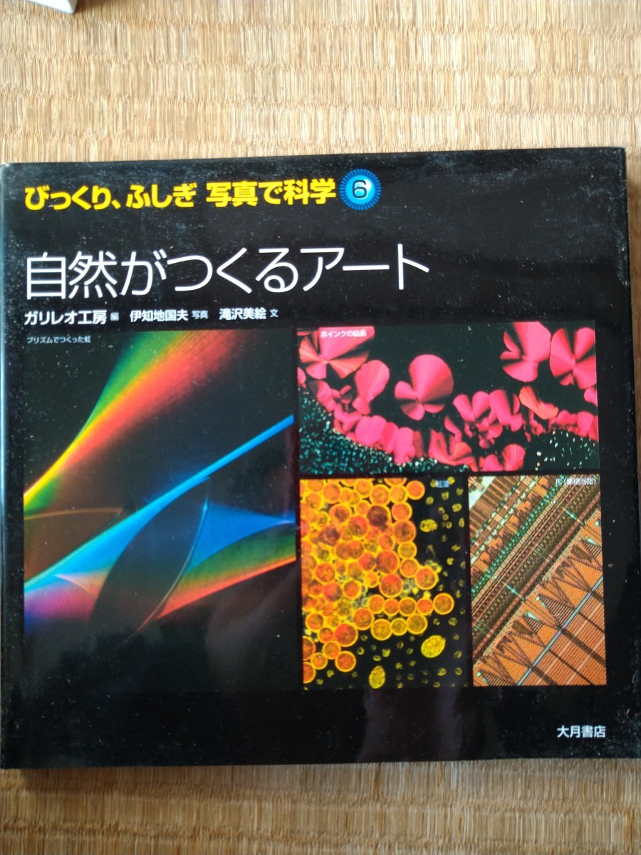 自然がつくるアート （びっくり、ふしぎ写真で科学　６） 滝沢美絵／文　ガリレオ工房／編　伊知地国夫／写真　大月書店_画像1