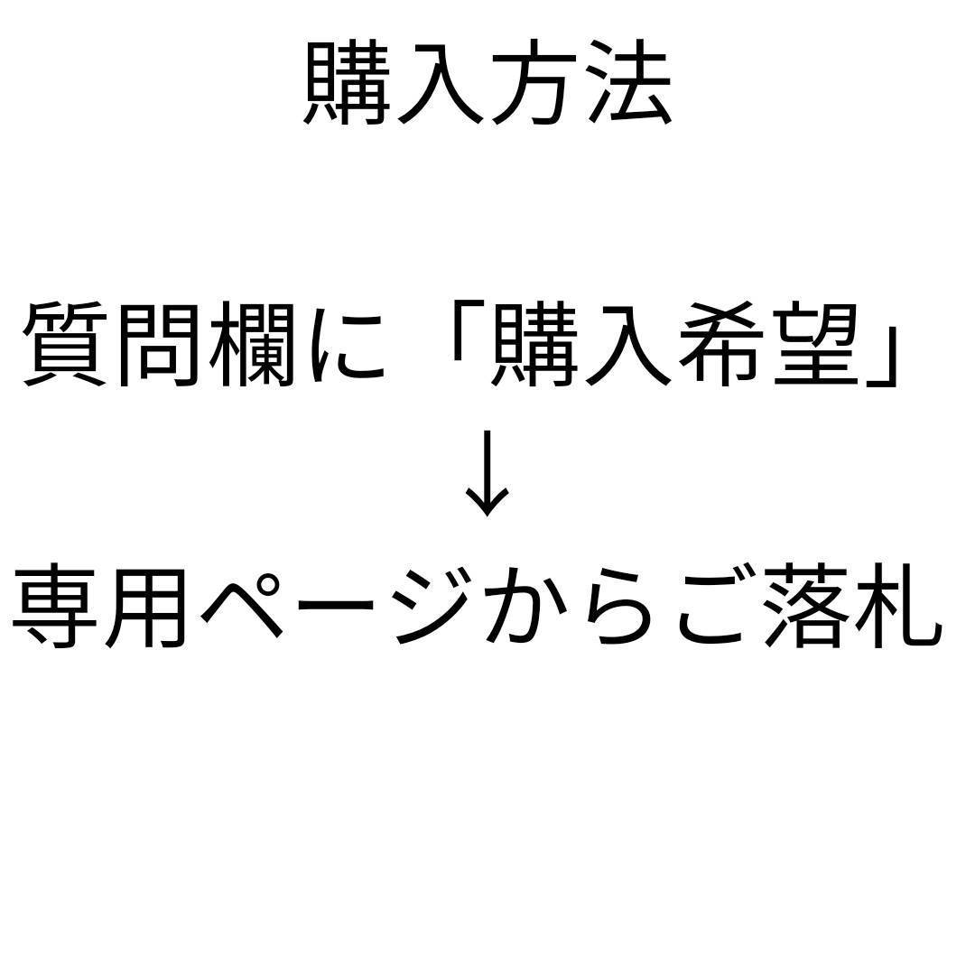 専用-月30万自動収入を得る方法_画像3