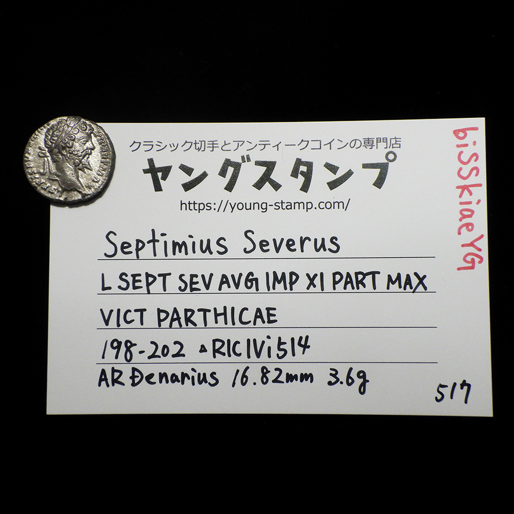 【古代ローマコイン】Septimius Severus（セプティミウス・セウェルス）クリーニング済 シルバーコイン 銀貨 デナリウス(biSSkiaeYG)_画像9