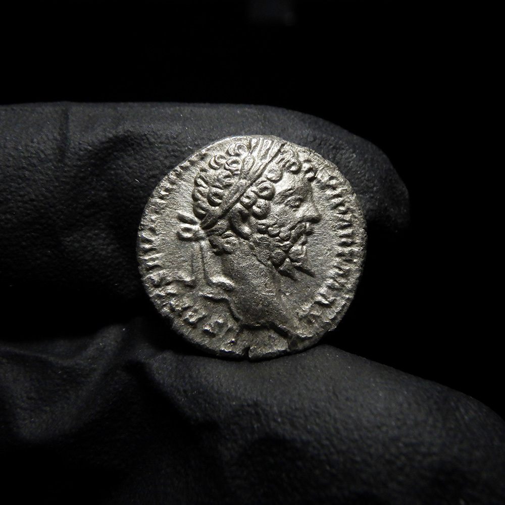 【古代ローマコイン】Septimius Severus（セプティミウス・セウェルス）クリーニング済 シルバーコイン 銀貨 デナリウス(biSSkiaeYG)_画像2