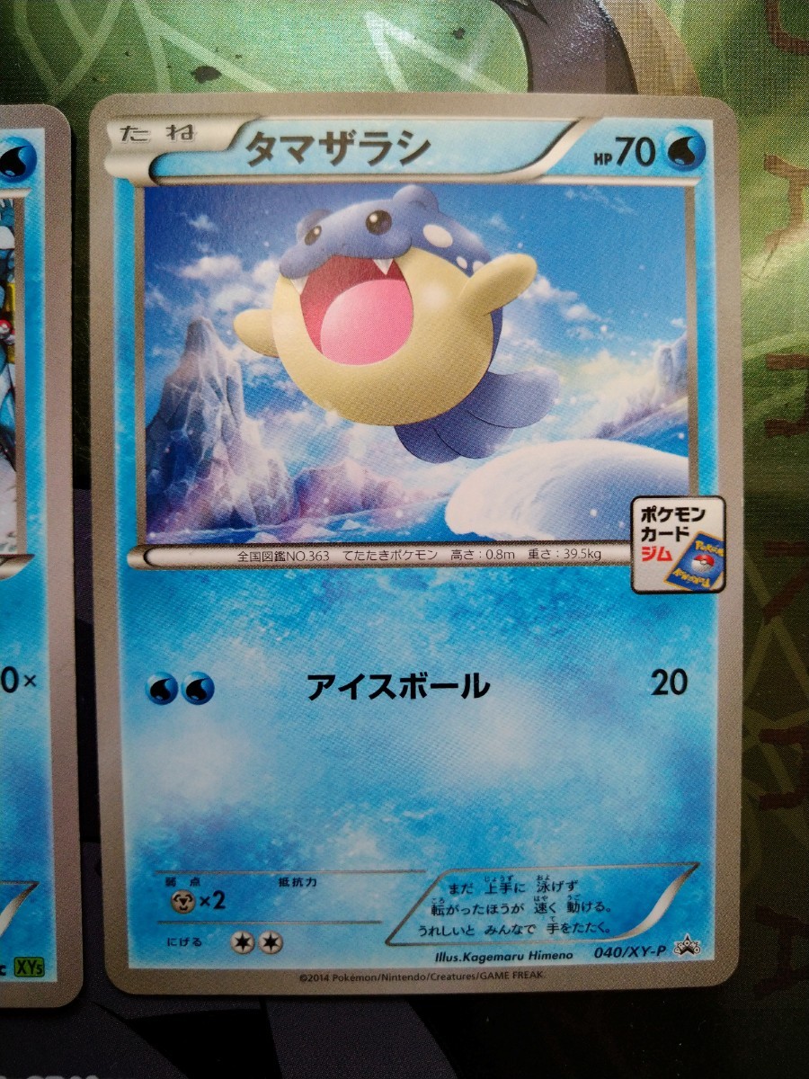 【希少、2枚セット】◆ タマザラシ ◆　ポケモンカードXY5、XY-P（限定プロモ） 2014年　/　Spheal_画像3