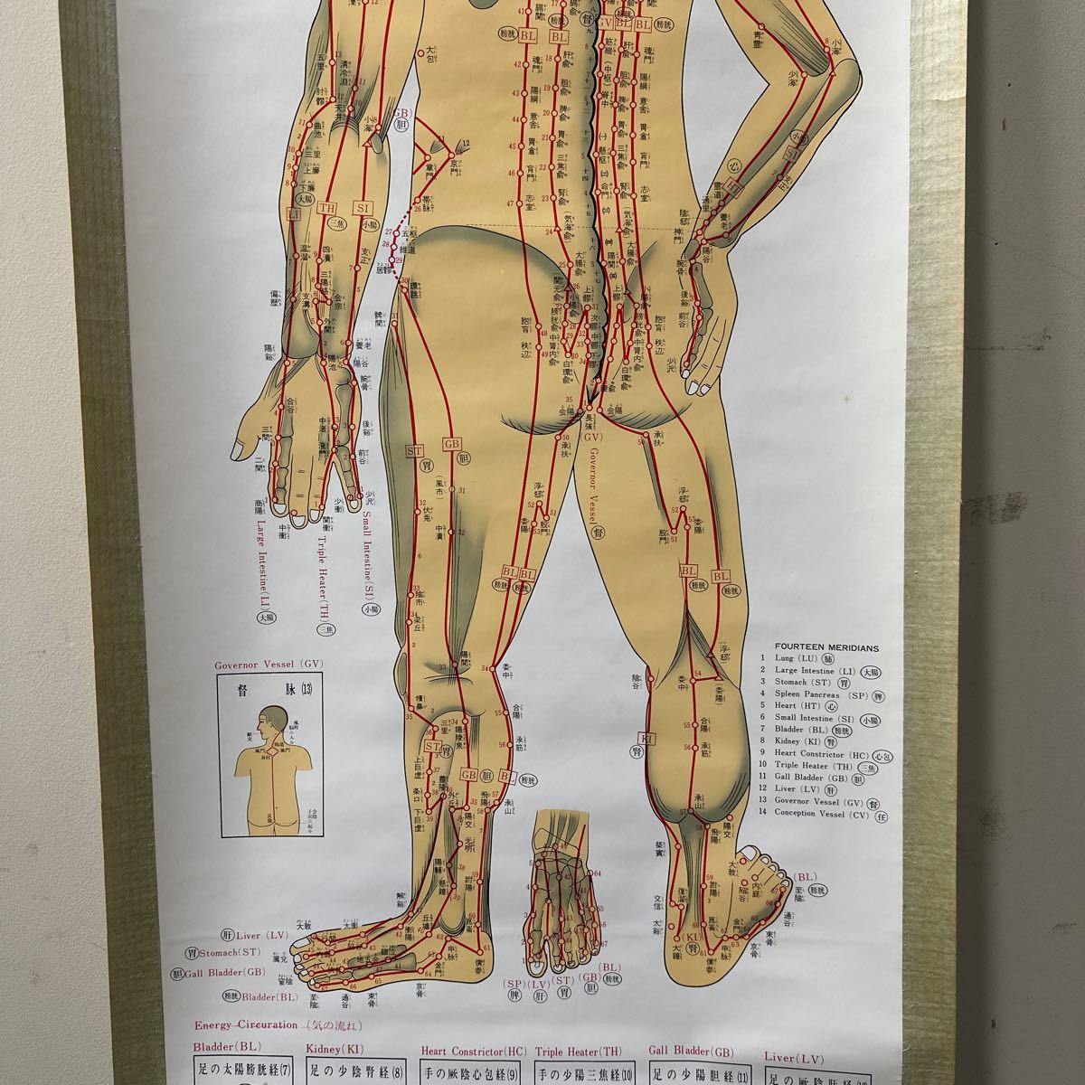 A275 本間祥白著　鍼灸経絡経穴図鑑　医道の日本社発行　掛軸　ツボ_画像4