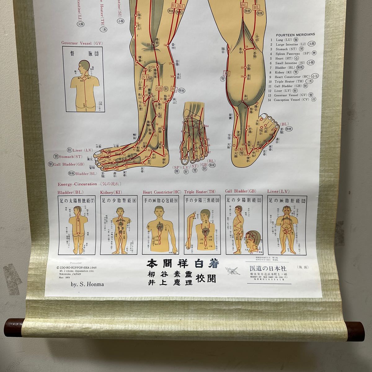 A275 本間祥白著　鍼灸経絡経穴図鑑　医道の日本社発行　掛軸　ツボ_画像5