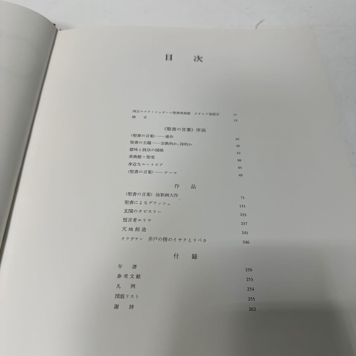 A327 シャガールの聖書　国際共同出版　CHAGALL 岩波書店　マルク・シャガール　大型本　図録　_画像4