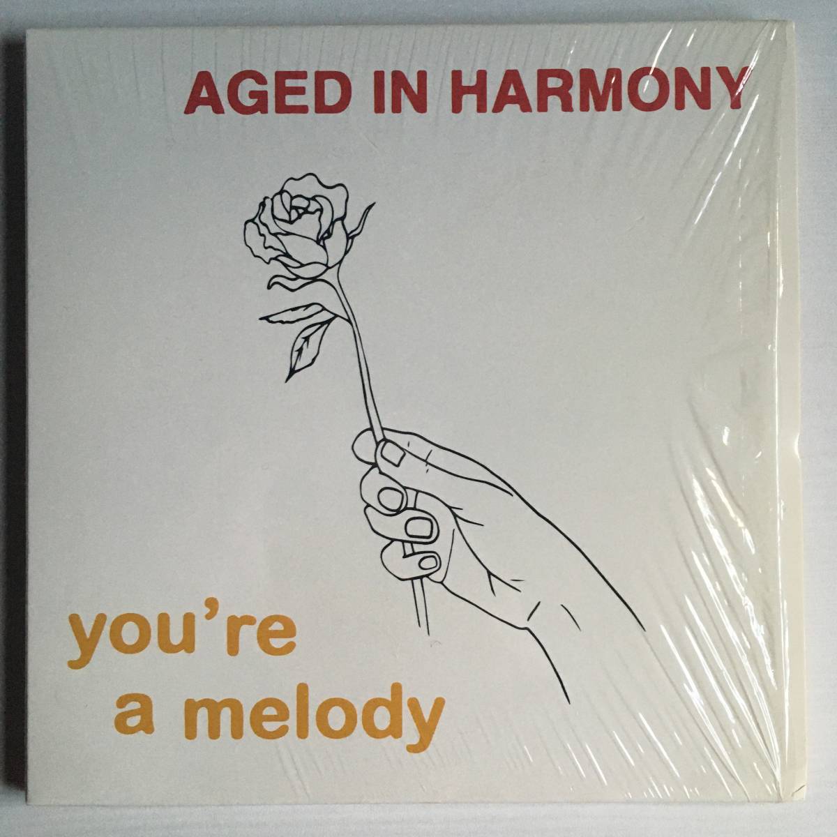 3EP BOX仕様 ● AGED IN HARMONY ● YOU'RE A MELODY　ディスコ/ブギー/モダンソウル　レアシングル_画像1