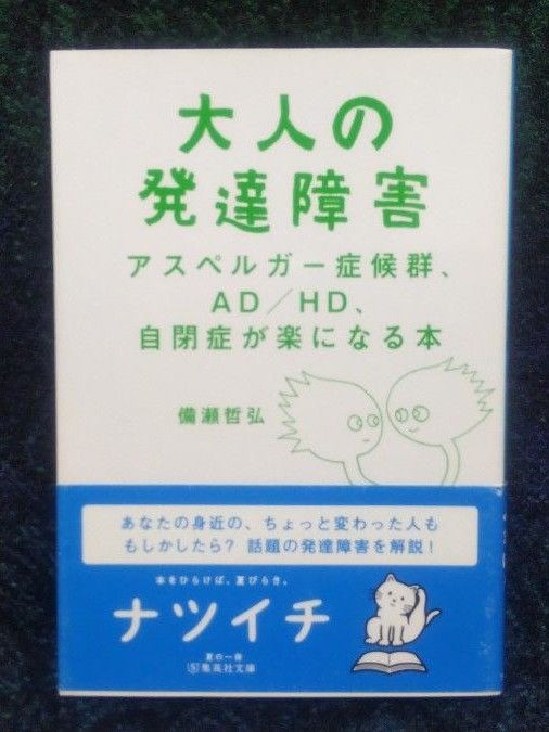 大人の発達障害　アスペルガー症候群、ＡＤ／ＨＤ、自閉症が楽になる本 （集英社文庫　ひ３０－４） 備瀬哲弘／著