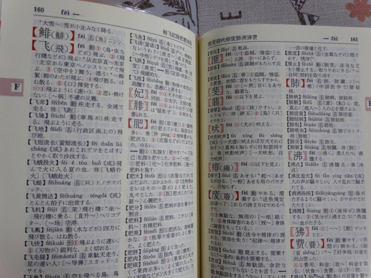 デイリーコンサイス　中日辞典　中型版　第２版　三省堂　中古品_画像4