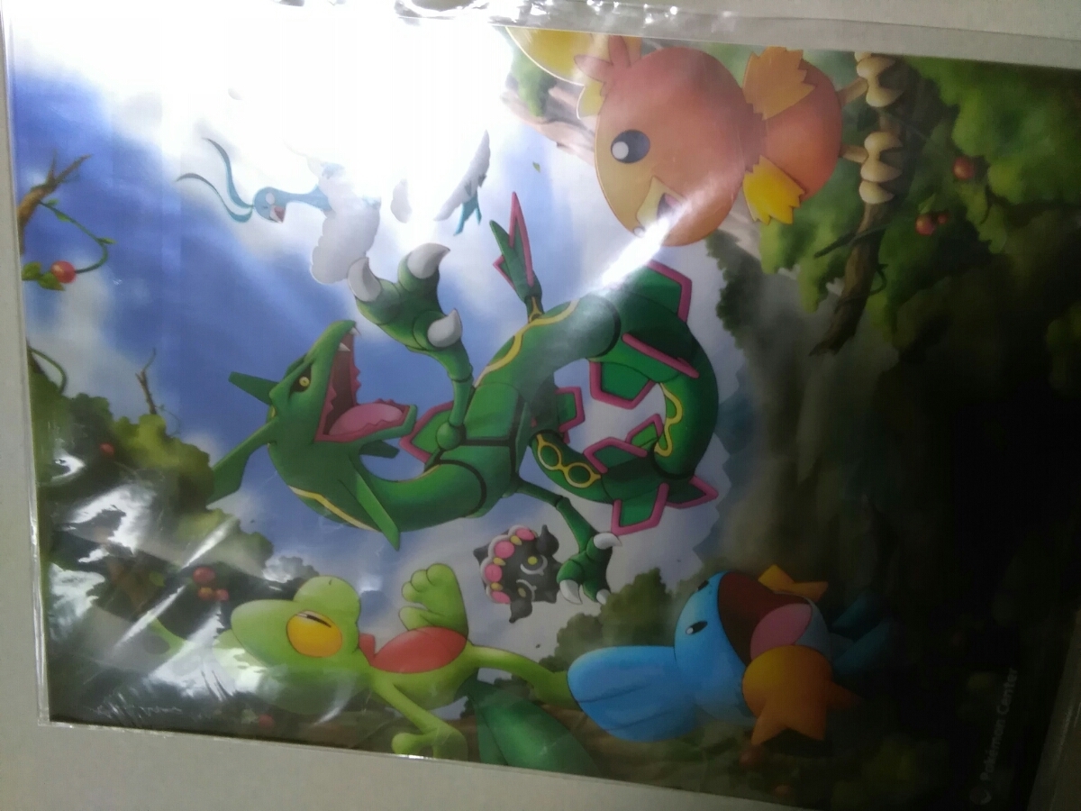 ポケモンセンター限定 クリアファイル レックウザ 新品 mariapraia.com.br