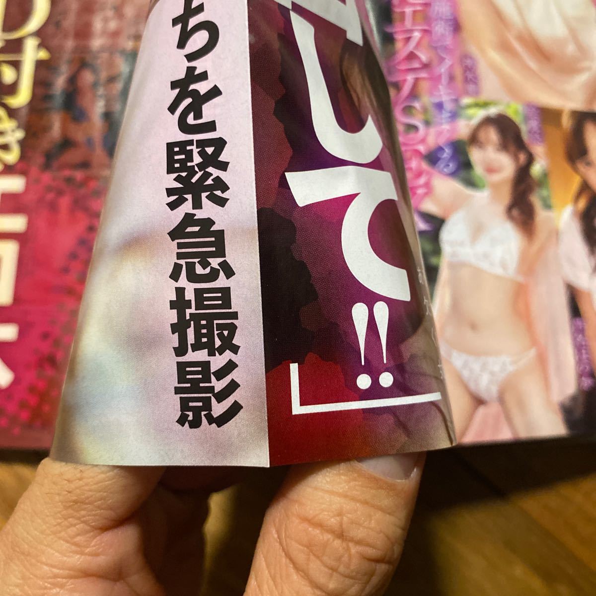 臨時増刊ラヴァーズ 35 2024年2月5日発行　袋とじ未開封　表紙破れヨレ有　裏表紙小傷有　全ページ少しヨレ有　管理番号A756_画像6