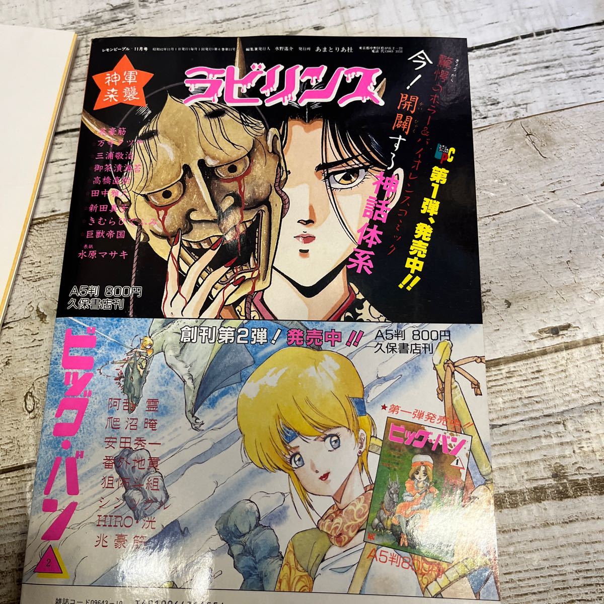 P091 LEMON PEOPLE レモンピープル 竜騎兵1987年 11月号 特大付録 ポスター付き_画像3