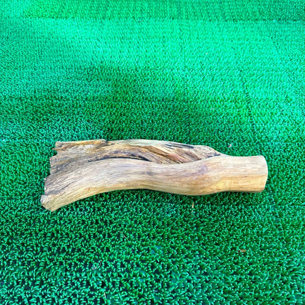 ⑤ 小笠原榁 シマムロ 29.5×最長10×5cm 650g端材 木材_画像4