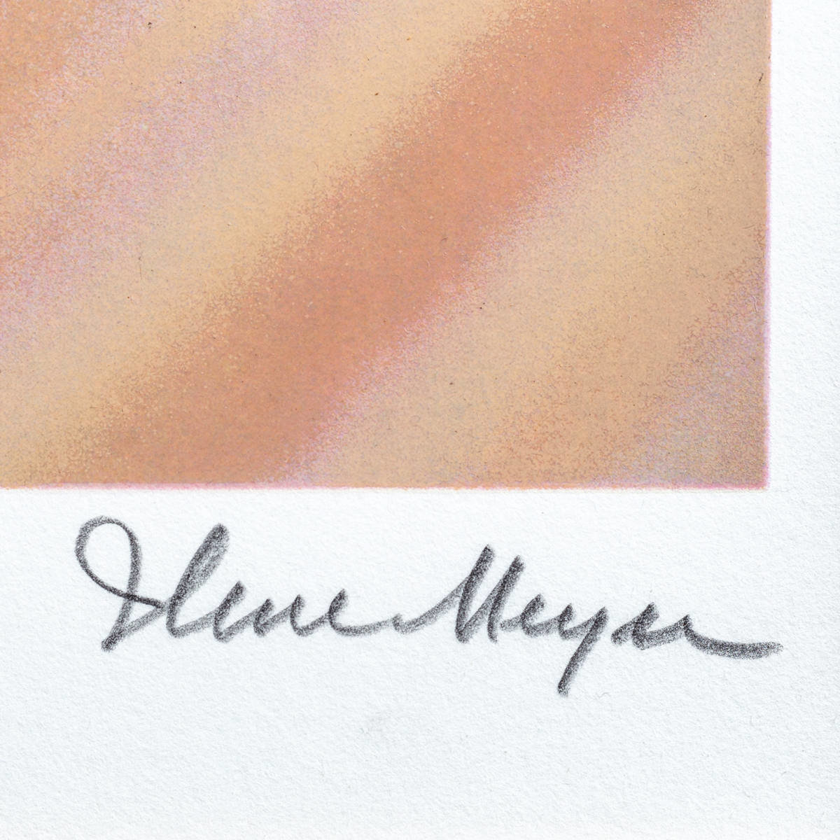 イレーヌ・メイヤー『9回目の誕生』シルクスクリーン 版画 本人 鉛筆 サイン300部限定 アールブリアン保証書付_画像5