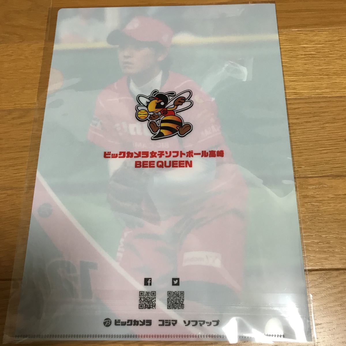  Bick camera woman softball Takasaki Bee Queen river .. month clear file 