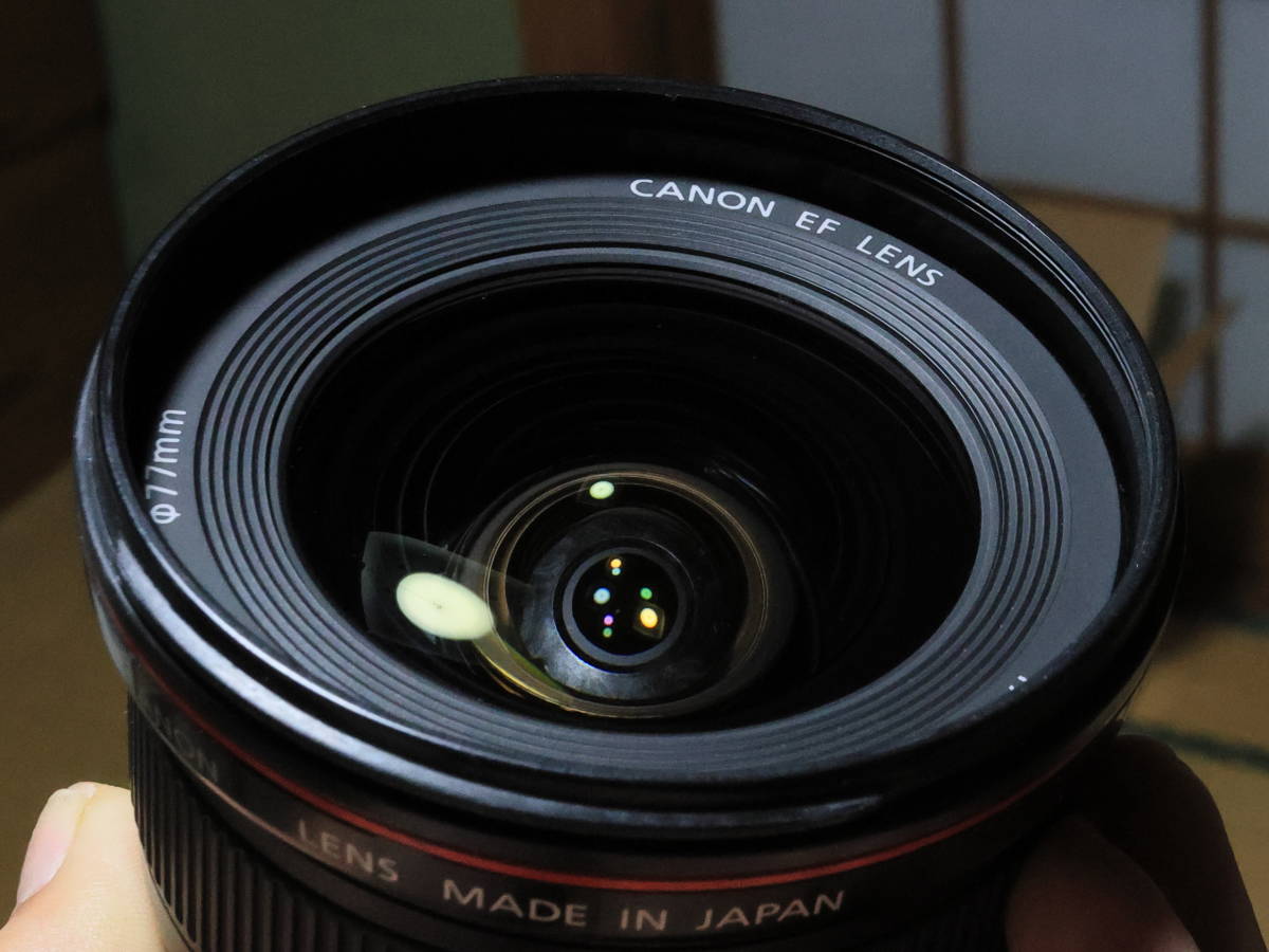 Canon EF17-40mm F4L USM 広角 ズームレンズ 訳アリ品　実用品 一眼レフ　ミラーレスにも_画像2