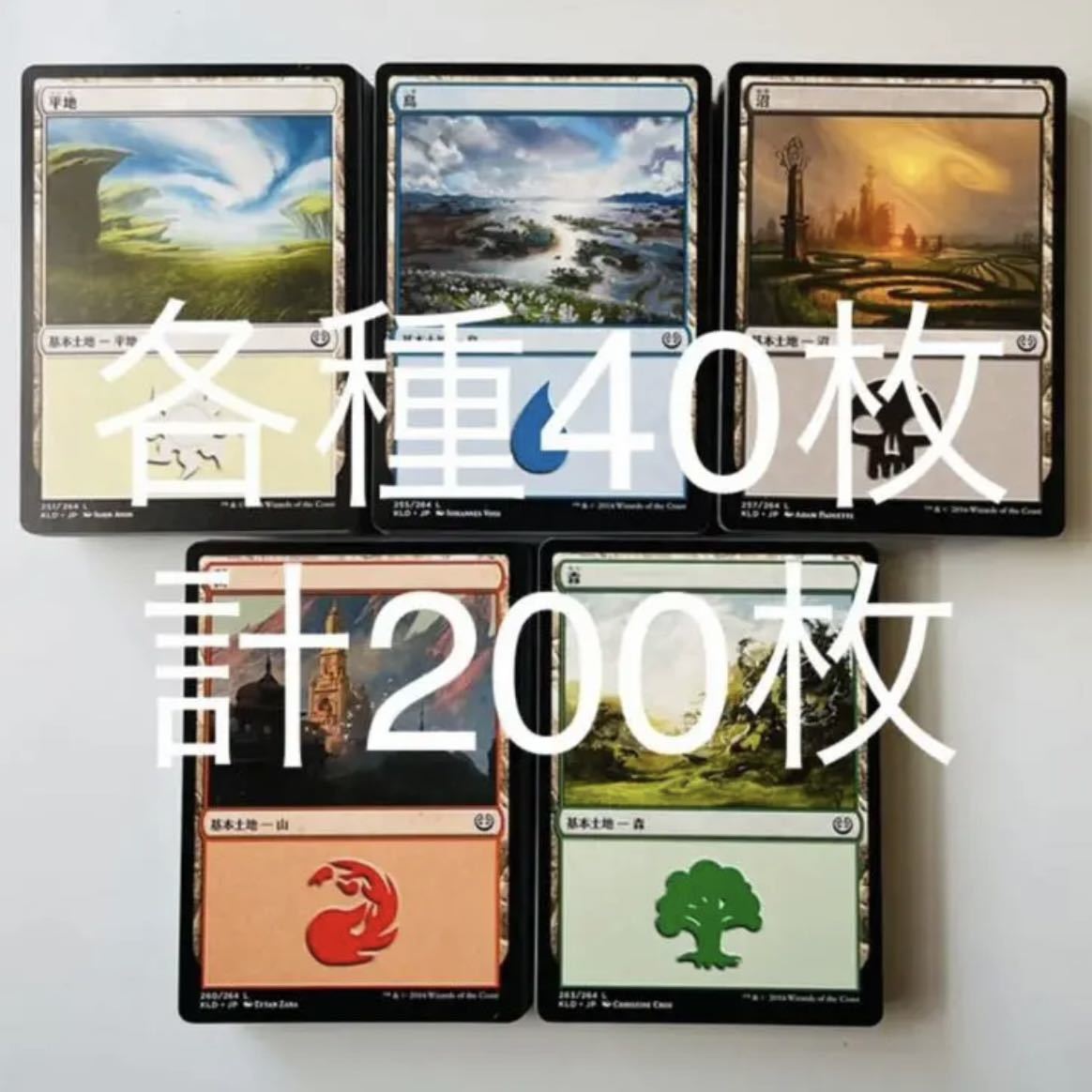 MTG 日本語 基本土地 基本地形 平地 島 沼 山 森 各種40枚 計200枚 リミテッド用 シールド ドラフト 大量_画像1