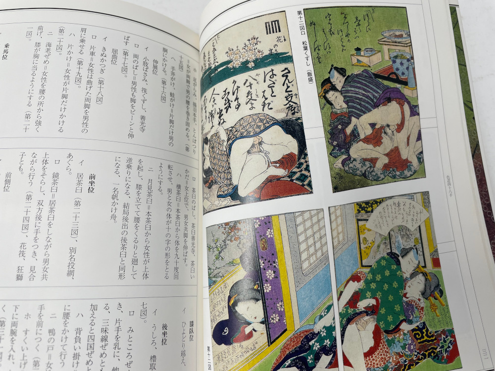 医者見立て 江戸の性典 田野辺富蔵 河出書房新社 / 春画 艶本 風俗資料 遊廓 美人 裸婦 秘宝館 浮世絵_画像3