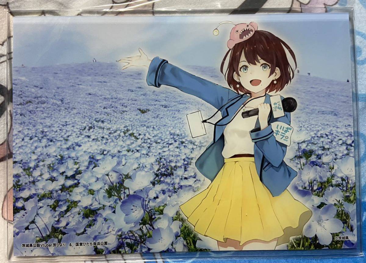  アナザーヒロイン    ひより 