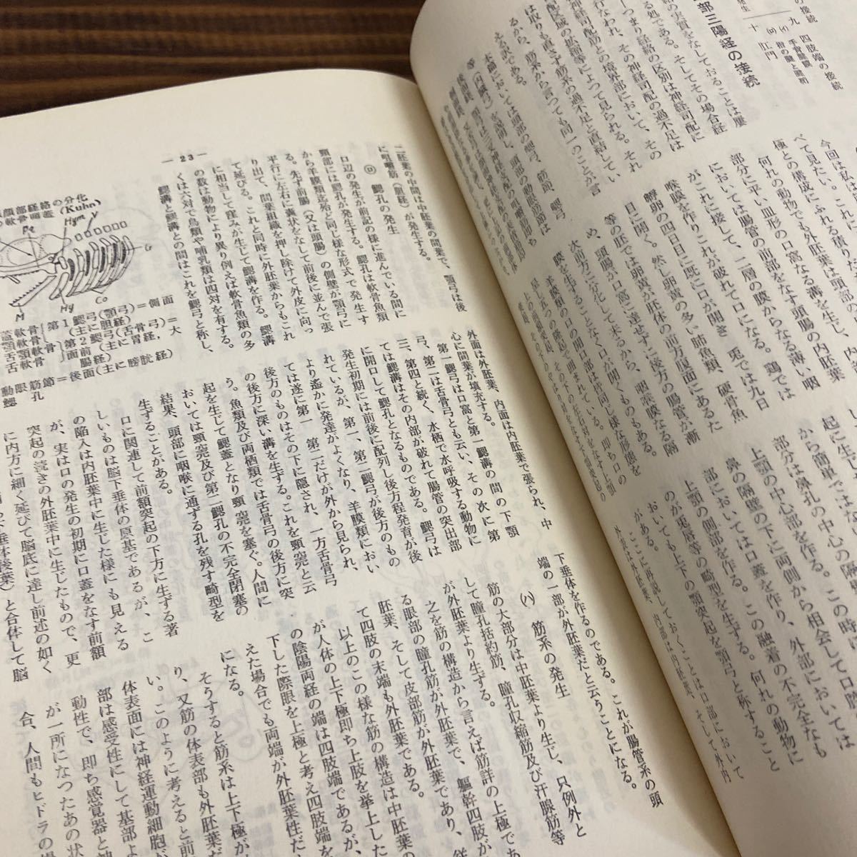 経絡の本体 石井陶泊 日本発生鍼灸医学会 鍼灸医学 東洋医学 経穴 東洋医学_画像7