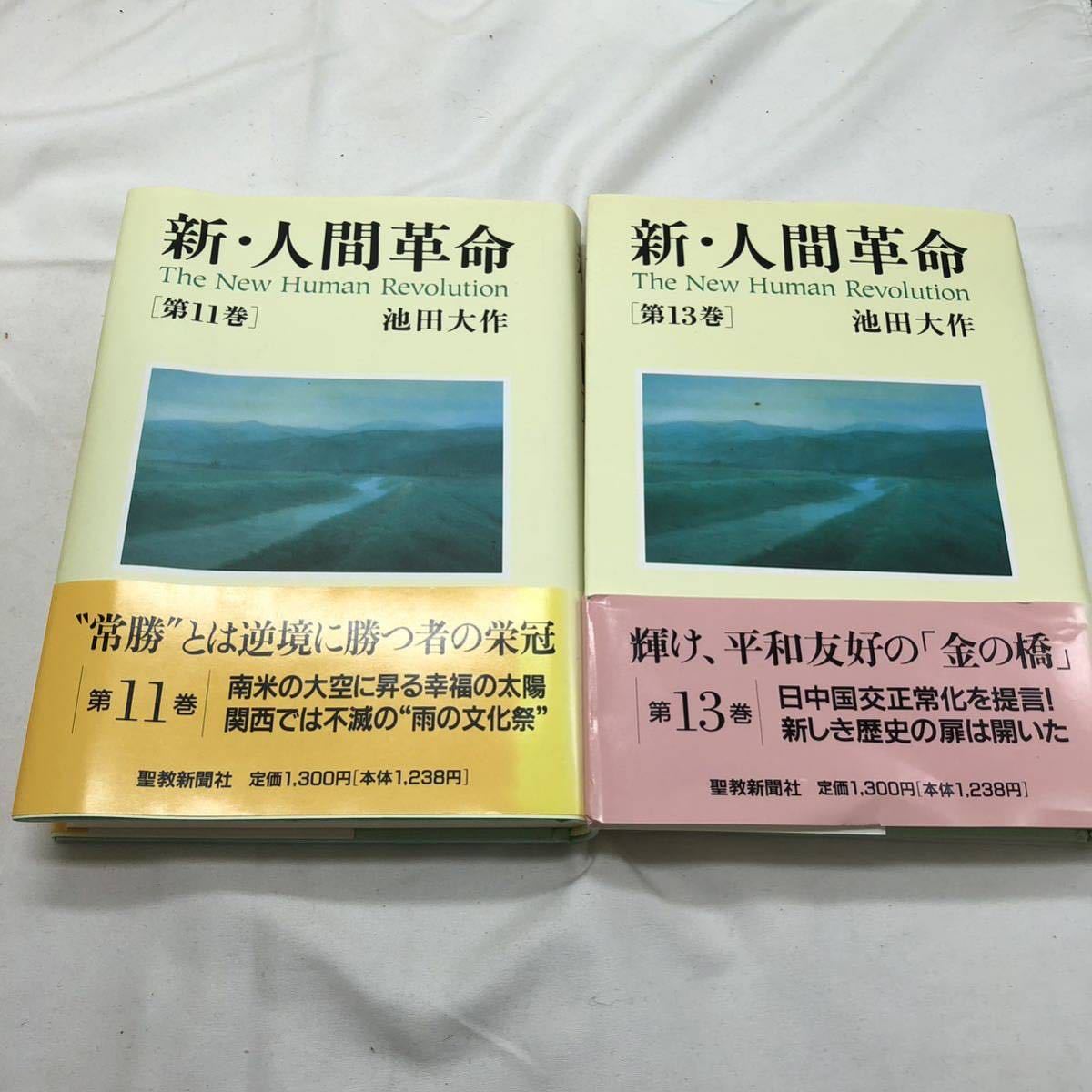 新版・仏教哲学大辞典　新・人間革命　第2〜18巻　古本　YS I48I_画像6