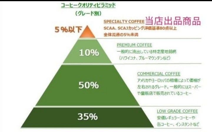 こだわり珈琲豆　グアテマラ　ウエウエテナンゴ 500g　中深煎り 自家焙煎 SHBプレミアムQ グレード