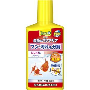 【新品】(まとめ）テトラ 金魚のバクテリア 250ml（ペット用品）【×6セット】_画像1