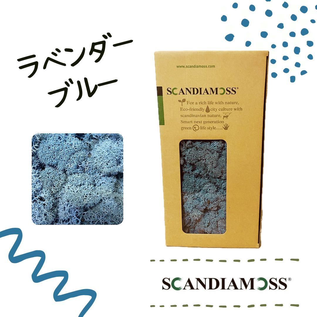 スカンディアモス SCANDIAMOSS ラベンダーブルー 50ｇ ディスプレイ 水色 苔 モス 脱臭効果の画像1