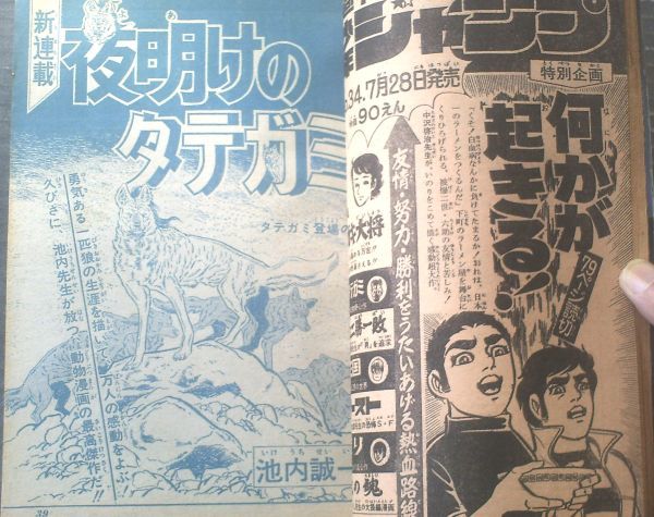 【週刊少年ジャンプ（昭和４５年３３号）】新連載「夜明けのタテガミ/池内誠一」・「おれはゲバ鉄！/赤塚不二夫（最終回）」等_画像3