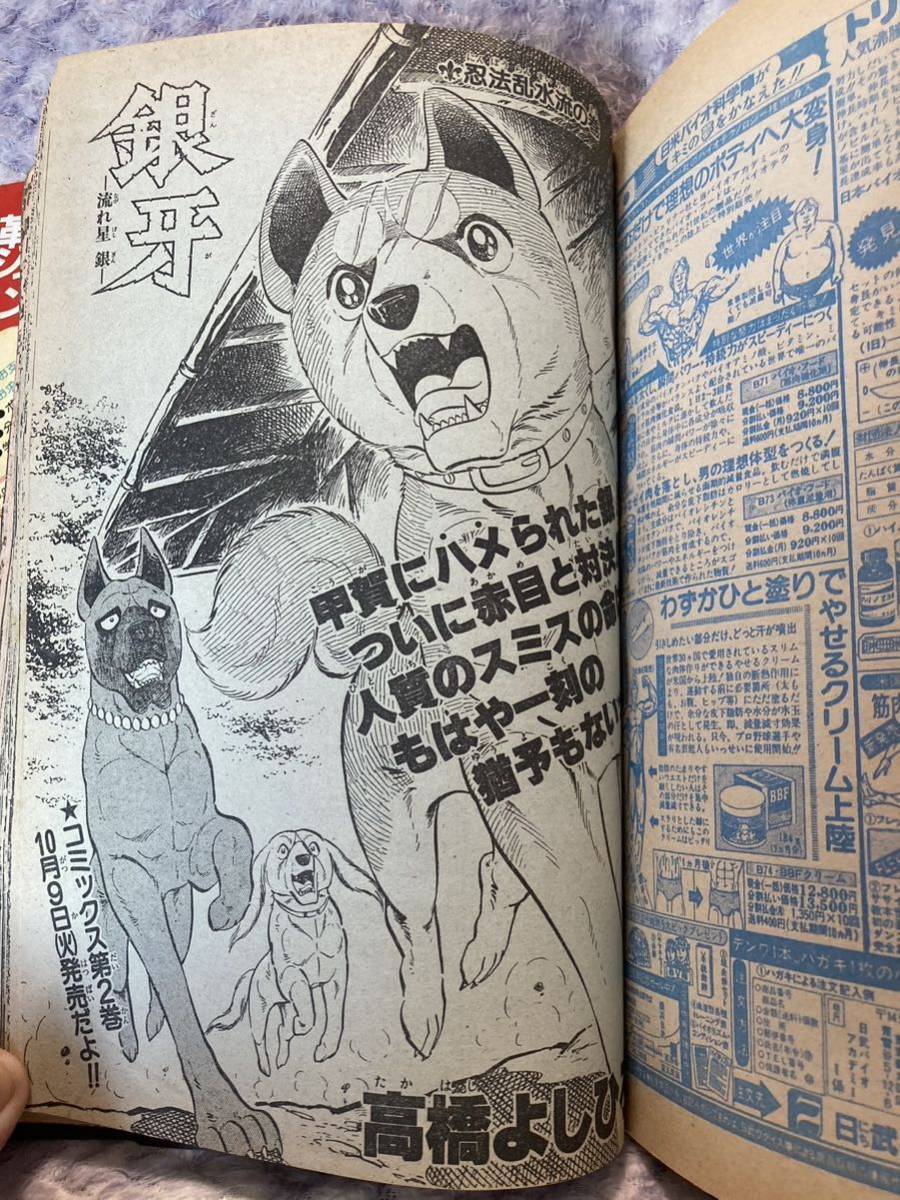 少年ジャンプ1984年45号新連載バオー来訪者！荒木飛呂彦、気まぐれオレンジロード、銀牙_画像7