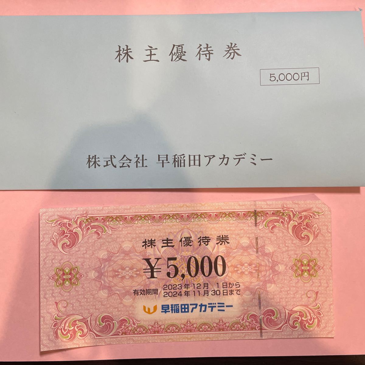 【送料無料　レターパックライトでの発送】早稲田アカデミー株主優待券　5000円1枚　2024年11月30日まで_画像1