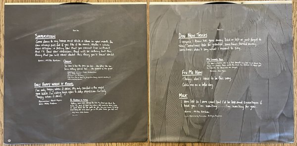 美品！USオリジナル盤 GARBAGE / MASTERDISK刻印 シュリンク LP盤 2枚組 レコード 1995年盤 ガービッジ Butch Vig_画像10