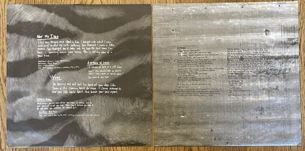 美品！USオリジナル盤 GARBAGE / MASTERDISK刻印 シュリンク LP盤 2枚組 レコード 1995年盤 ガービッジ Butch Vig_画像9