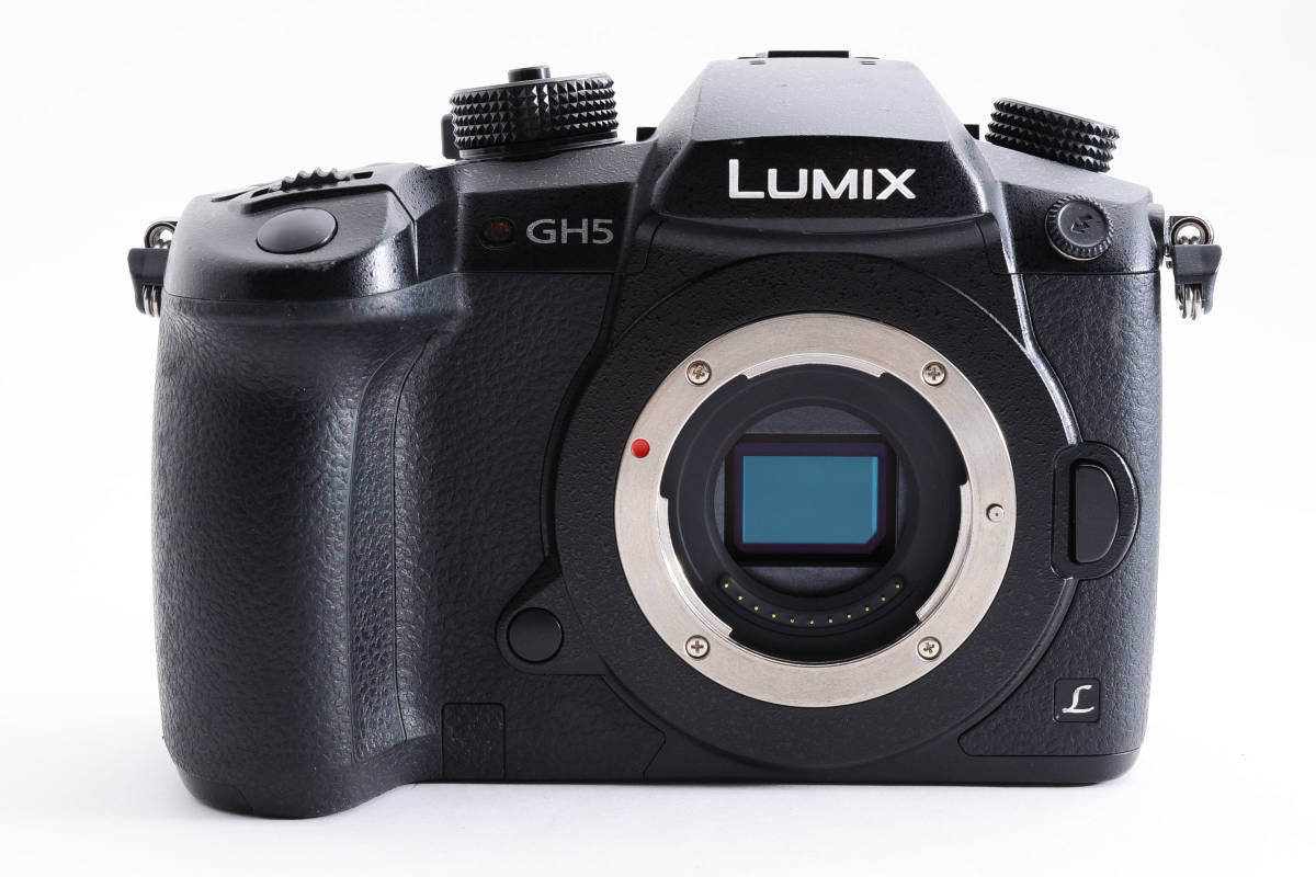 ★美品★ パナソニック Panasonic LUMIX DMC-GH5 ボディ バッテリー2個 #5988