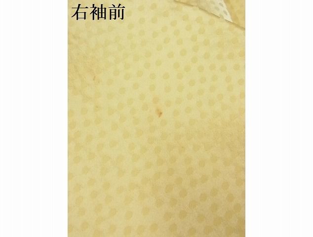 平和屋-こころ店■訪問着　枝花文　金彩　着丈169.5cm　裄丈68cm　正絹　逸品　1B-wt939_画像6