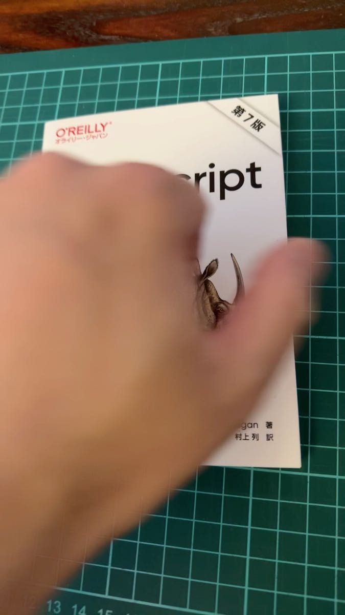 オライリージャパン メモ帳 JavaScript 表示