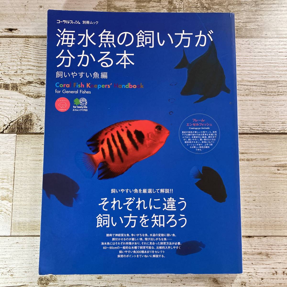 SA14-177 ■ コーラルフィッシュ 別冊ムック　海水魚の飼い方が分かる本 飼いやすい魚編 ■ それぞれ違う飼い方を知ろう 【同梱不可】_画像1