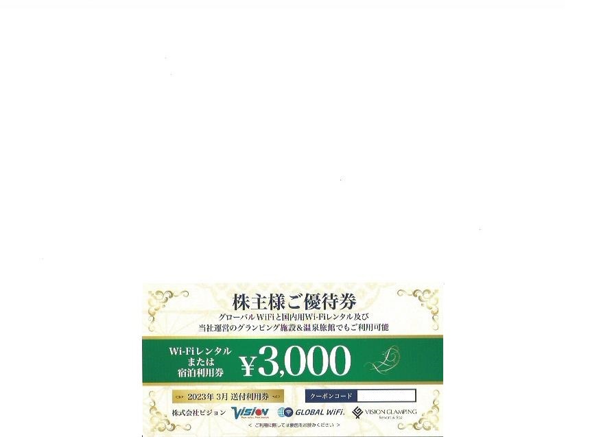 ビジョン 株主優待券 3000円分 Vision _画像1