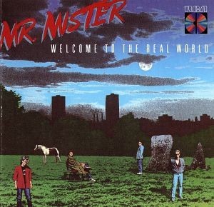 【輸入盤】Ｗｅｌｃｏｍｅ　ｔｏ　ｔｈｅ　Ｒｅａｌ　Ｗｏｒｌｄ／Ｍｒ．ミスター_画像1