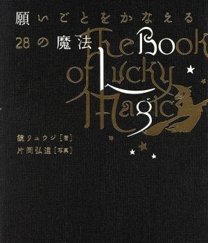 願いごとをかなえる２８の魔法／鏡リュウジ(著者),片岡弘道_画像1