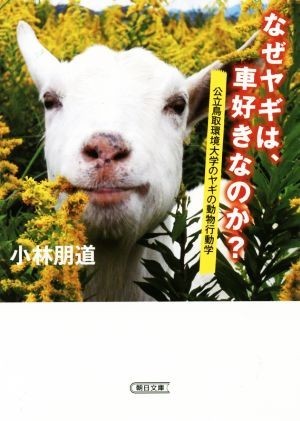 なぜヤギは、車好きなのか？　公立鳥取環境大学のヤギの動物行動学 朝日文庫／小林朋道(著者)_画像1