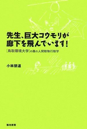 先生、巨大コウモリが廊下を飛んでいます！ 鳥取環境大学の森の人間動物行動学／小林朋道【著】_画像1