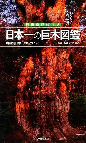 日本一の巨木図鑑 樹種別日本一の魅力１２０ 列島自然めぐり／宮誠而【写真・解説】_画像1