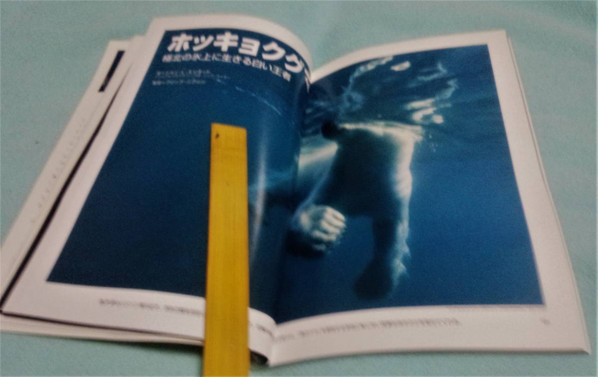 雑誌「ナショナルジオグラフィック日本版」★1998年1月号★2000年からの新時代、ホッキョクグマ、女性飛行士_画像5
