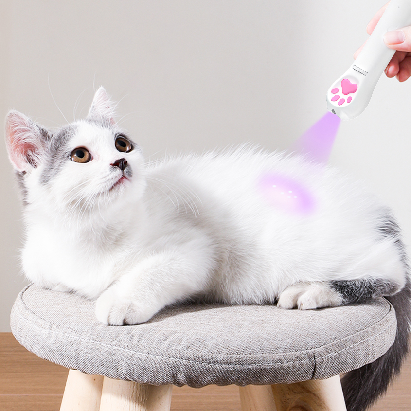 猫 おもちゃ じゃらし LEDポインター 猫グッズ ペット用品 レーザーポインター 犬 USB 充電式 肉球タイプ ストレス解消 グリーンライト_画像9