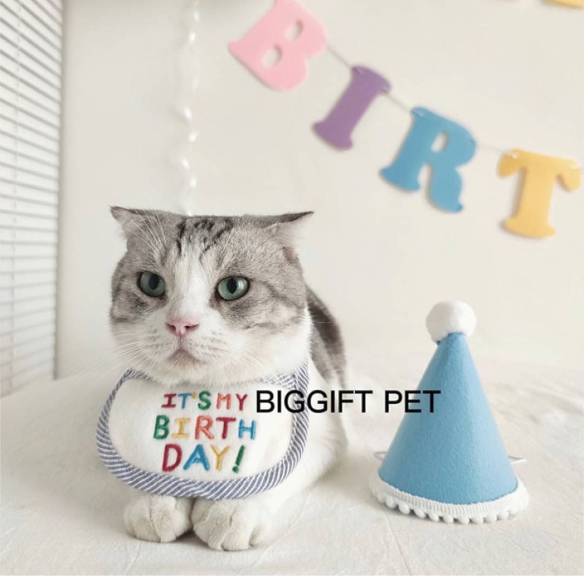 ペット バースデー スタイ L ブルー  誕生日 犬用 猫用 わんこ にゃんこ