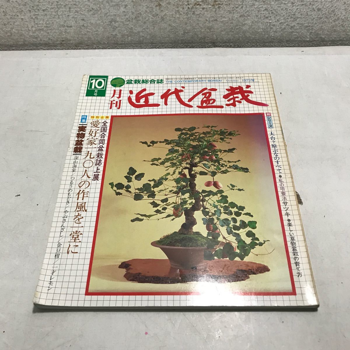 G05▲ 盆栽総合誌　月刊近代盆栽　1979年10月発行　特集/実物盆栽　深山海棠/つるうめもどき/やぶさんざし/金豆柑　▲240111 _画像1